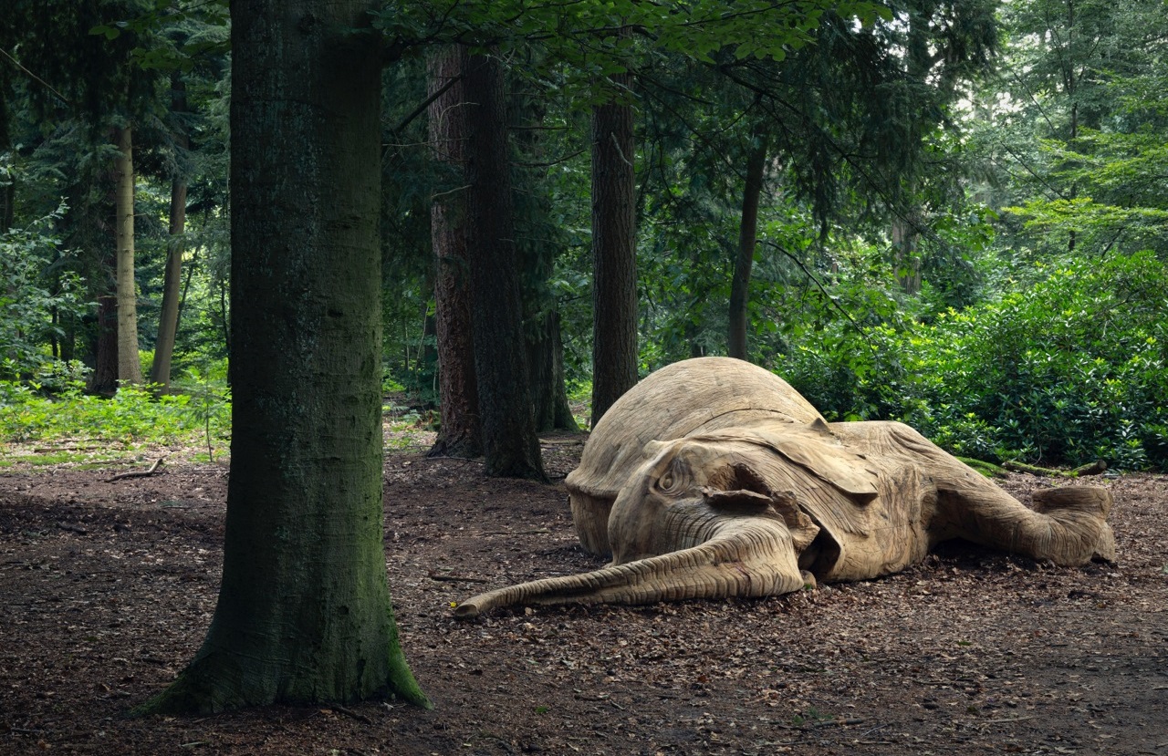 LUSTWARANDE 2015 – KEVIN VAN BRAAK – Olifant Elephant 2